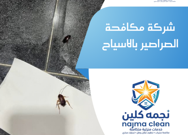 شركة مكافحة الصراصير بالاسياح