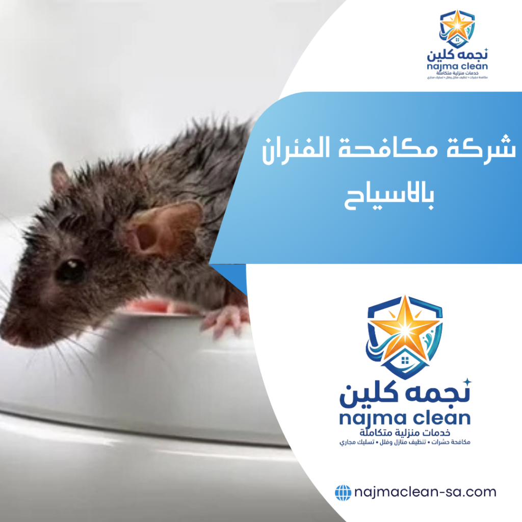 شركة مكافحة الفئران بالاسياح شركة مكافحة الفئران بالاسياح
