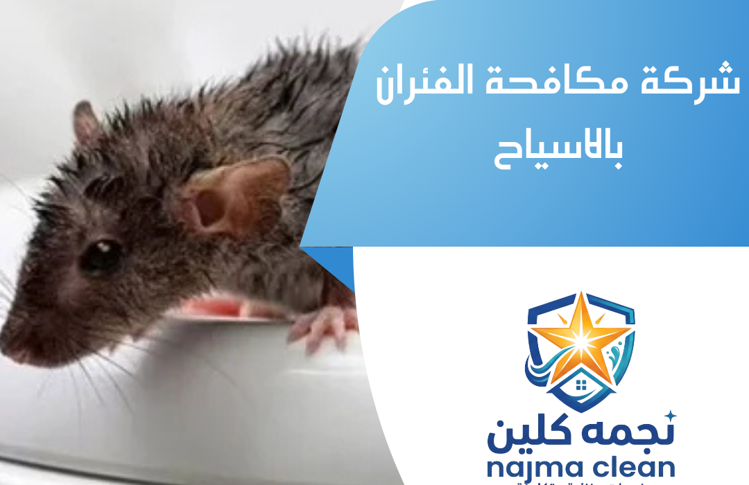 شركة مكافحة الفئران بالاسياح