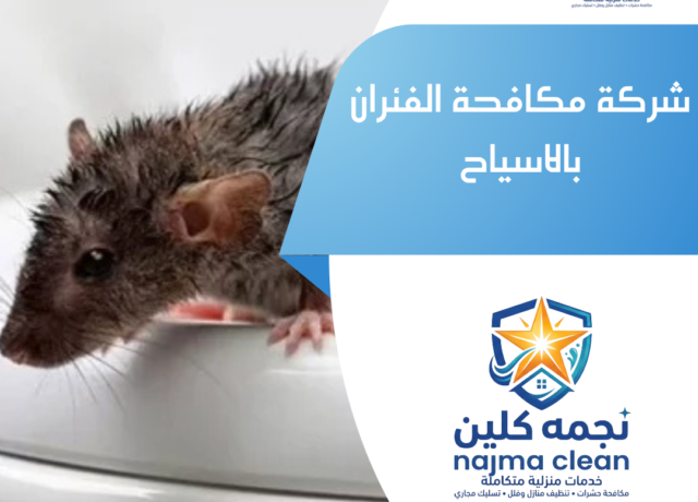 شركة مكافحة الفئران بالاسياح