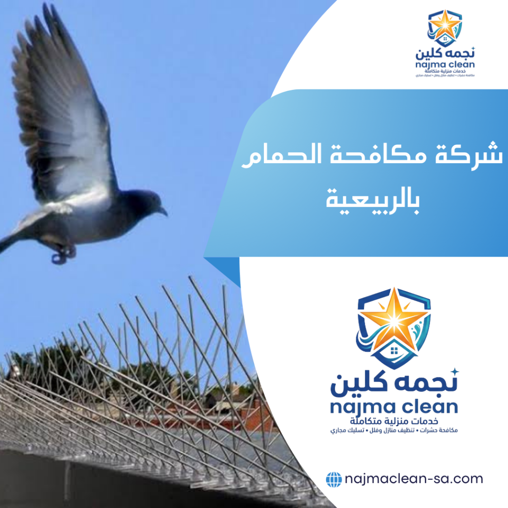 شركة مكافحة الحمام بالربيعية شركة مكافحة الحمام بالربيعية