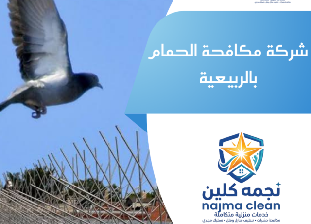 شركة مكافحة الحمام بالربيعية