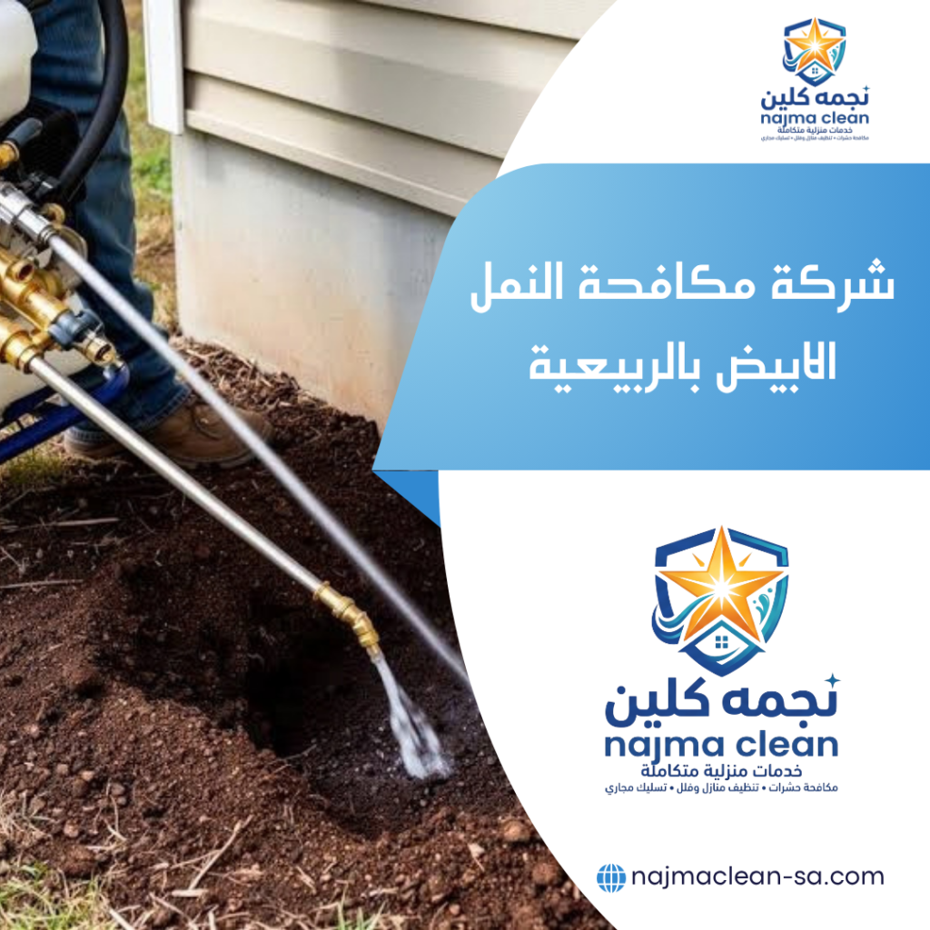 شركة مكافحة النمل الابيض بالربيعية مكافحة النمل الابيض بالربيعية