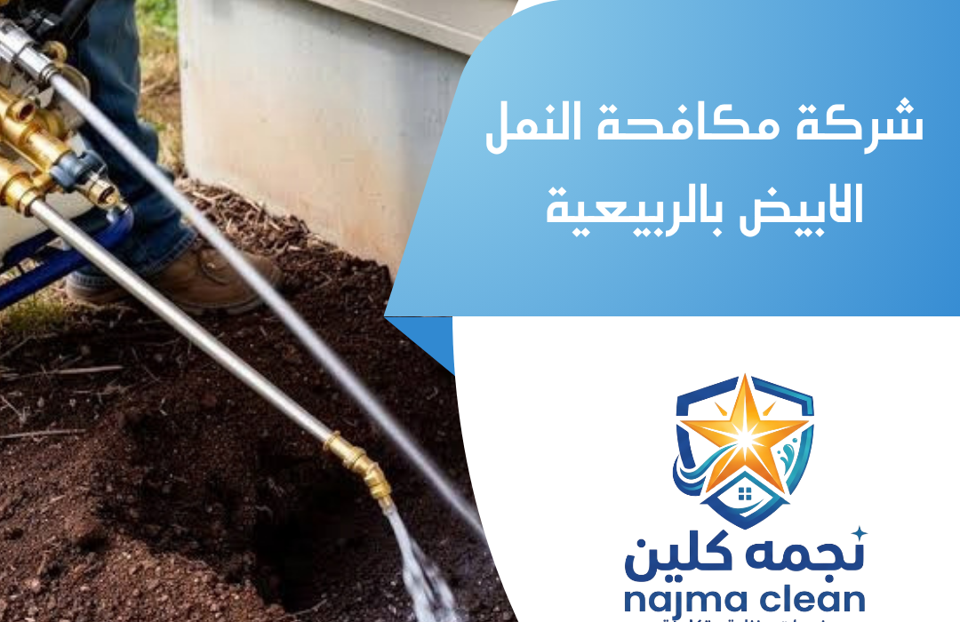 شركة مكافحة النمل الابيض بالربيعية