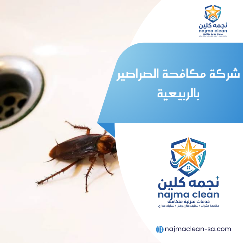 شركة مكافحة الصراصير بالربيعية شركة مكافحة الصراصير بالربيعية