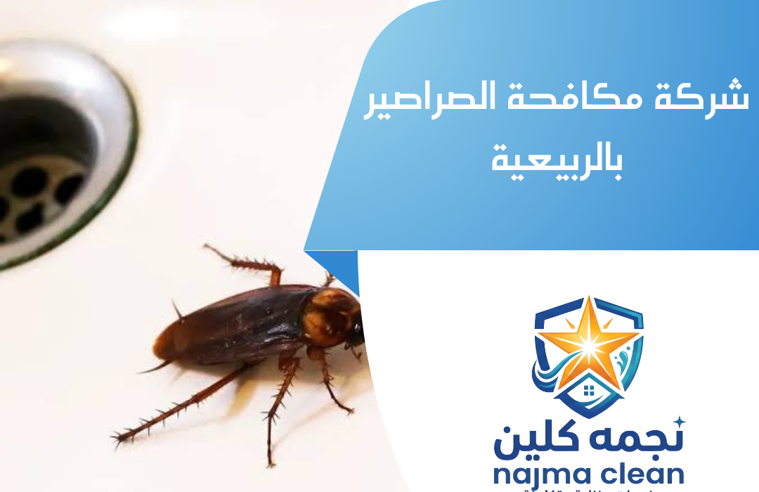شركة مكافحة الصراصير بالربيعية