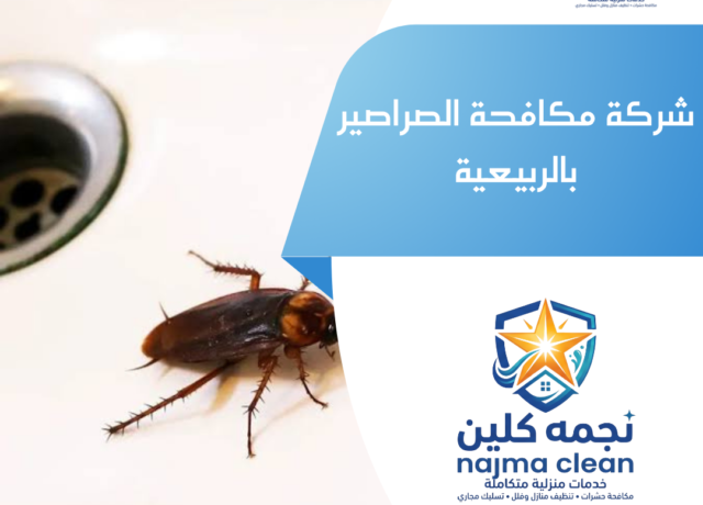 شركة مكافحة الصراصير بالربيعية