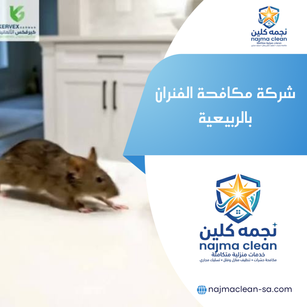 شركة مكافحة الفئران بالربيعية شركة مكافحة الفئران بالربيعية
