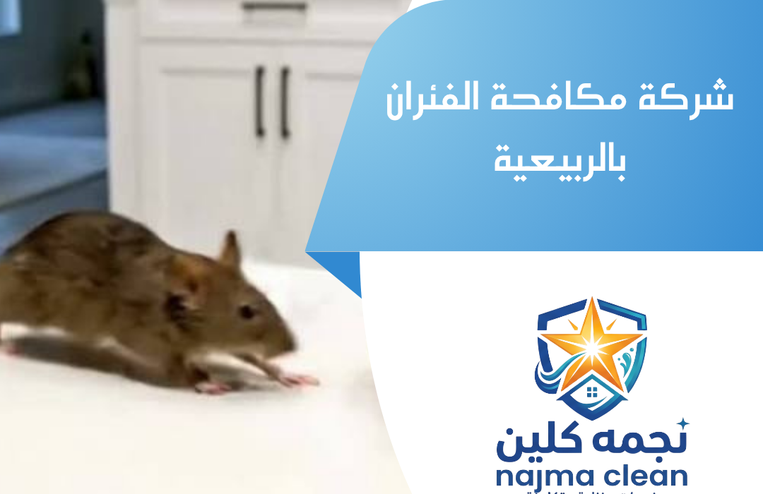 شركة مكافحة الفئران بالربيعية