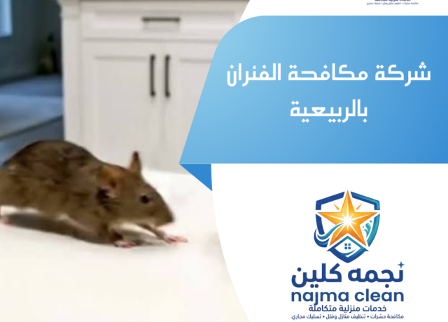 شركة مكافحة الفئران بالربيعية
